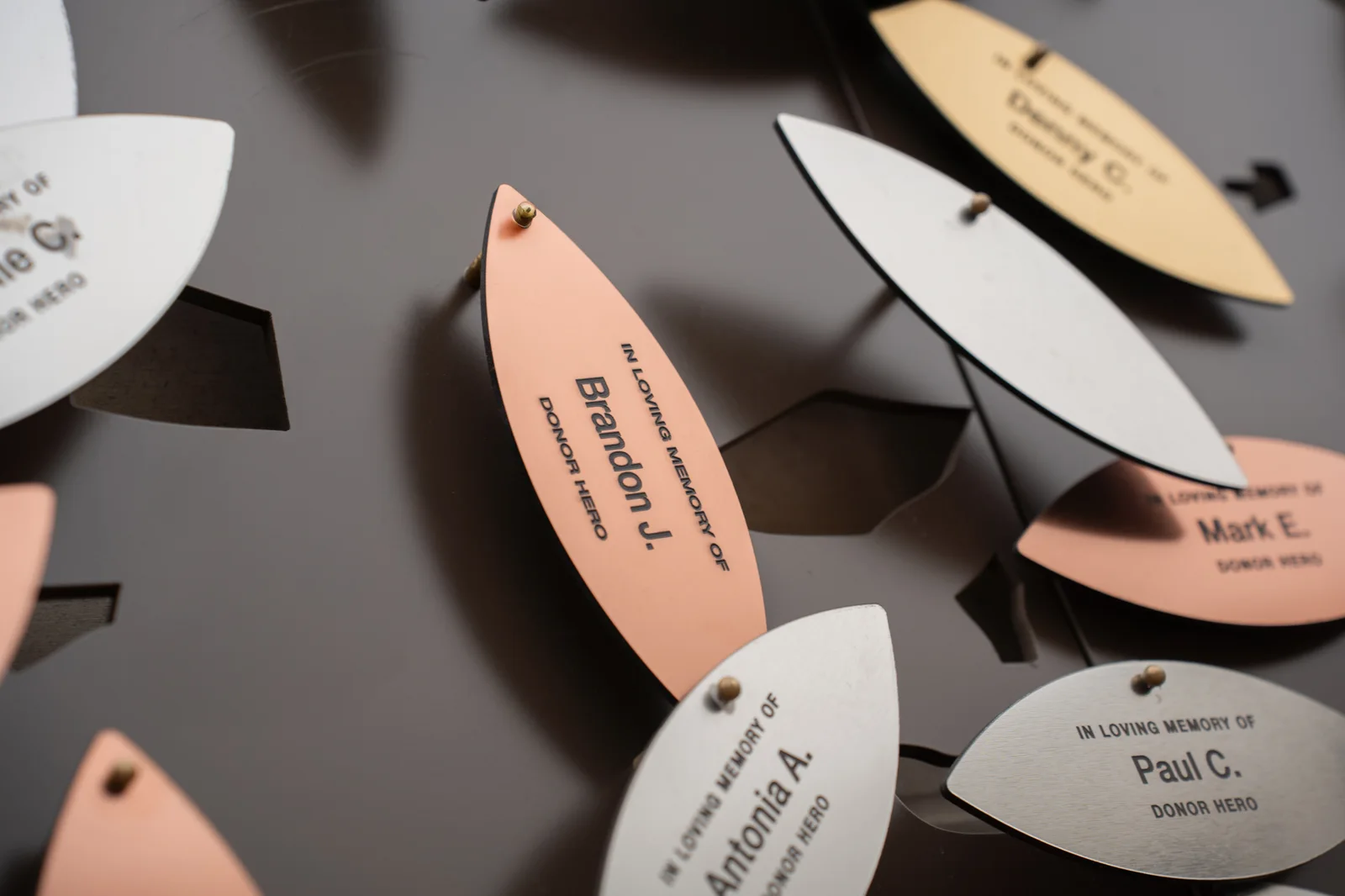 Memorial leaves honoring donors